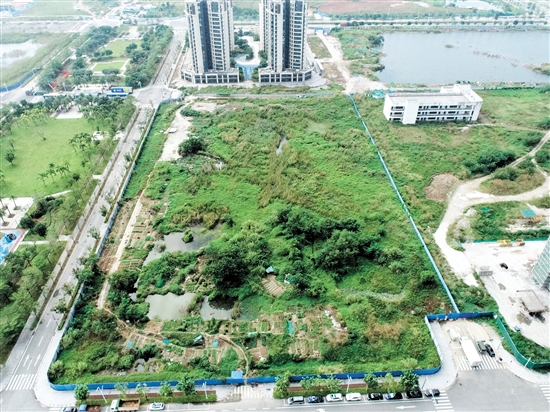 編號為JCR2024-164（江海10）號的商住用地位于江海區(qū)35號地規(guī)劃五路和龍湖路交界東南側(cè)。