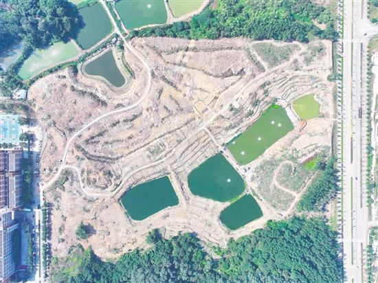 本次競拍的蓬江24、25、26號地為相連地塊。