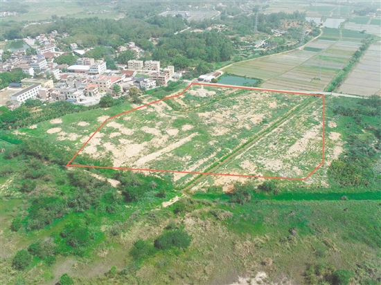 江門市JCR2025-55（臺(tái)山07）號(hào)地。