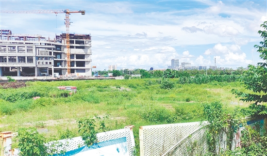 江門市JCR2025-100（新會18）號地。