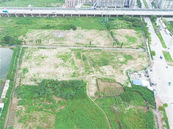 江門市JCR2025-101（江海08）號地位于江海區(qū)外海片區(qū)。