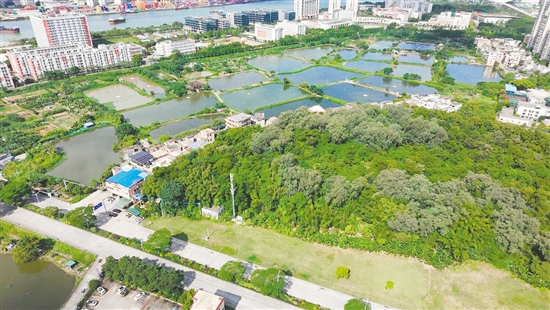 江門市JCR2025-148（蓬江22）號地。