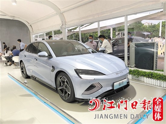 海豹外觀年輕運(yùn)動(dòng)。