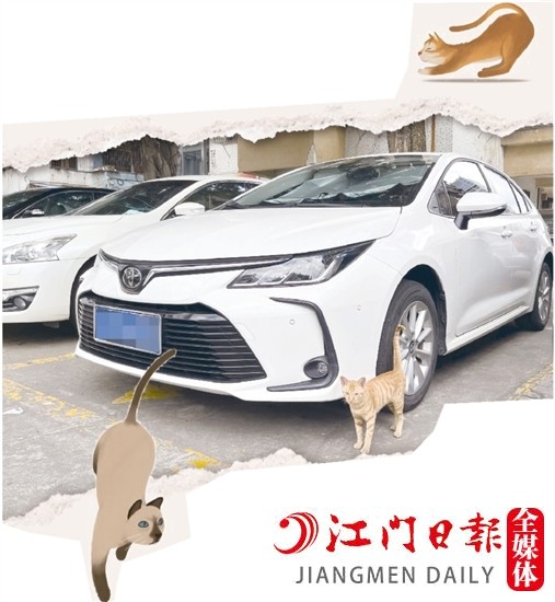 車主停車時，盡量減少停在流浪貓出沒的地方。