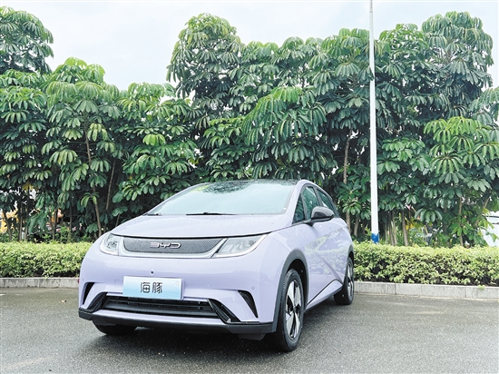 2023款海豚外觀及內(nèi)飾。