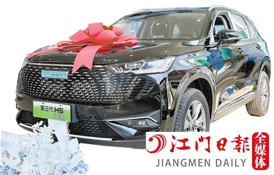 自主品牌 自主品牌